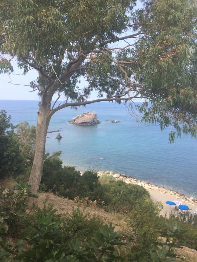 Polis Andromeda Beach House מראה חיצוני תמונה